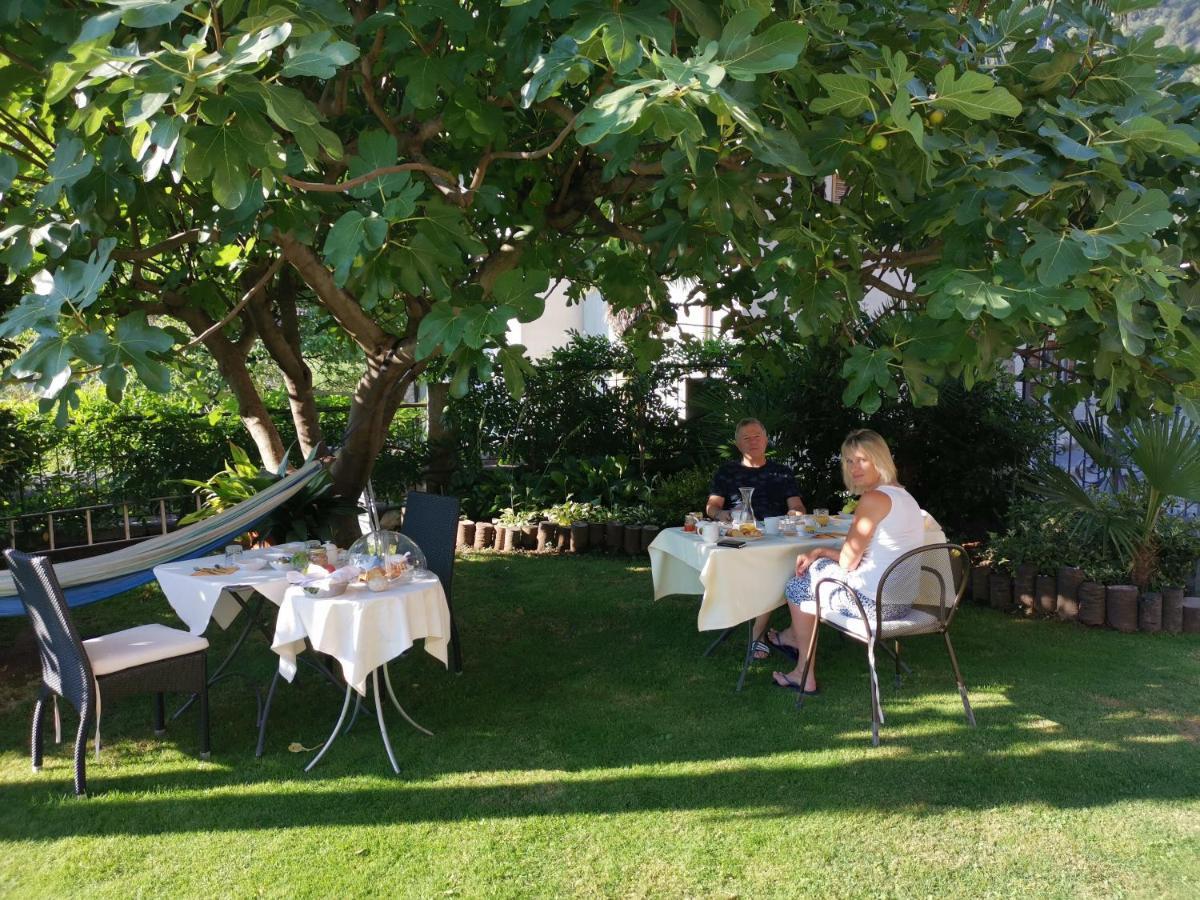 B&B Villa Dei Pini Cannobio Eksteriør billede