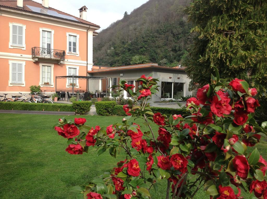 B&B Villa Dei Pini Cannobio Eksteriør billede
