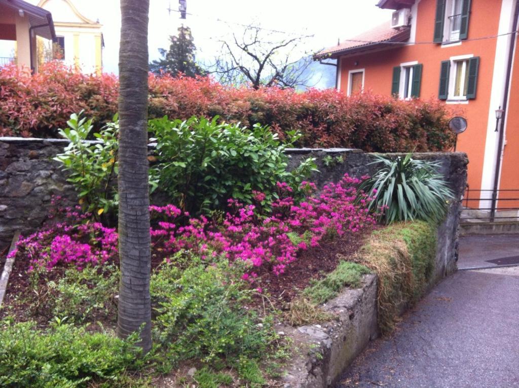 B&B Villa Dei Pini Cannobio Eksteriør billede