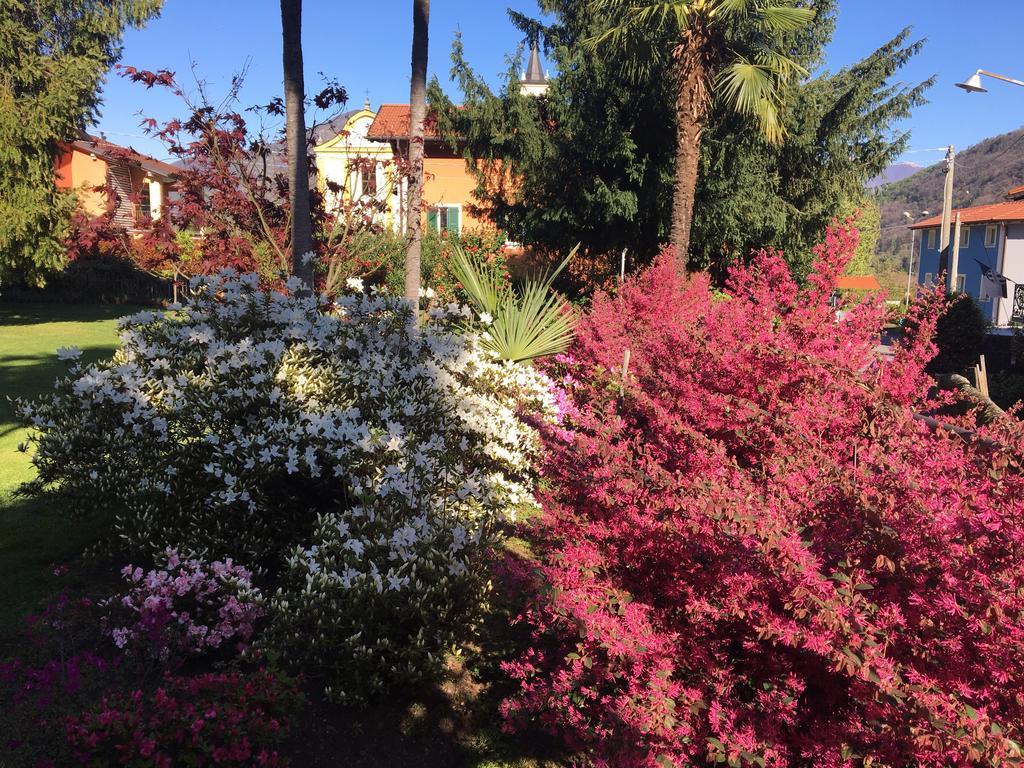 B&B Villa Dei Pini Cannobio Eksteriør billede