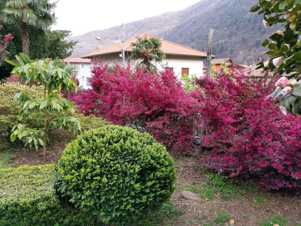 B&B Villa Dei Pini Cannobio Eksteriør billede